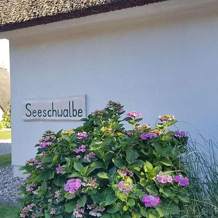 Дом отдыха Seeschwalbe Comfortable Holiday *